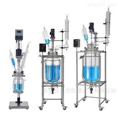 BYNS-20L双层玻璃反应器